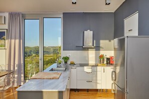 Eine moderne Küche mit großem Fenster, einem Einbauherd und einem Kühlschrank.