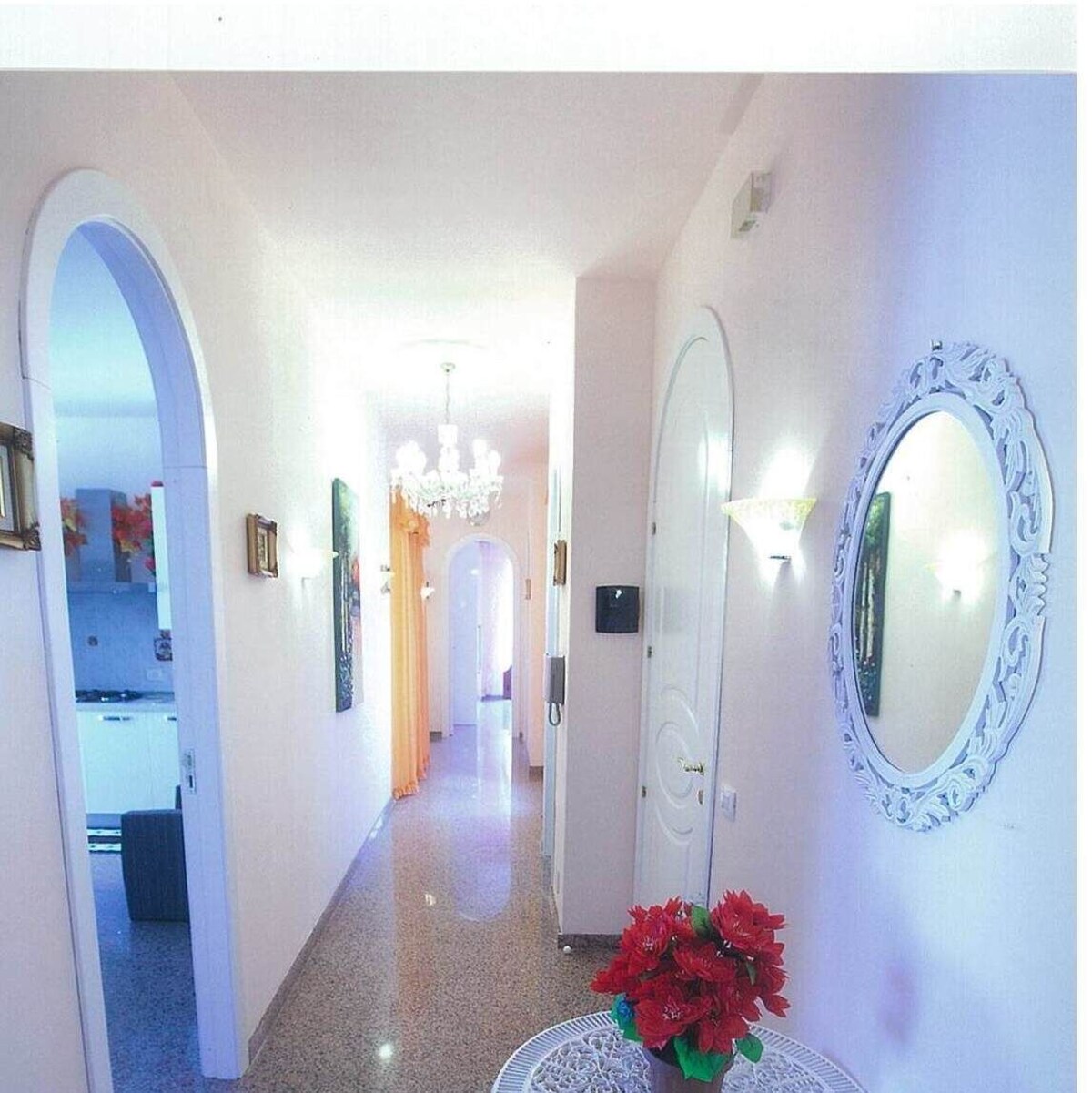 Imagen de perfil del propietario o de la propietaria