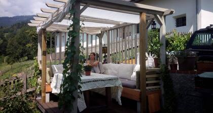 The old rectory on Altersberg Apt 1