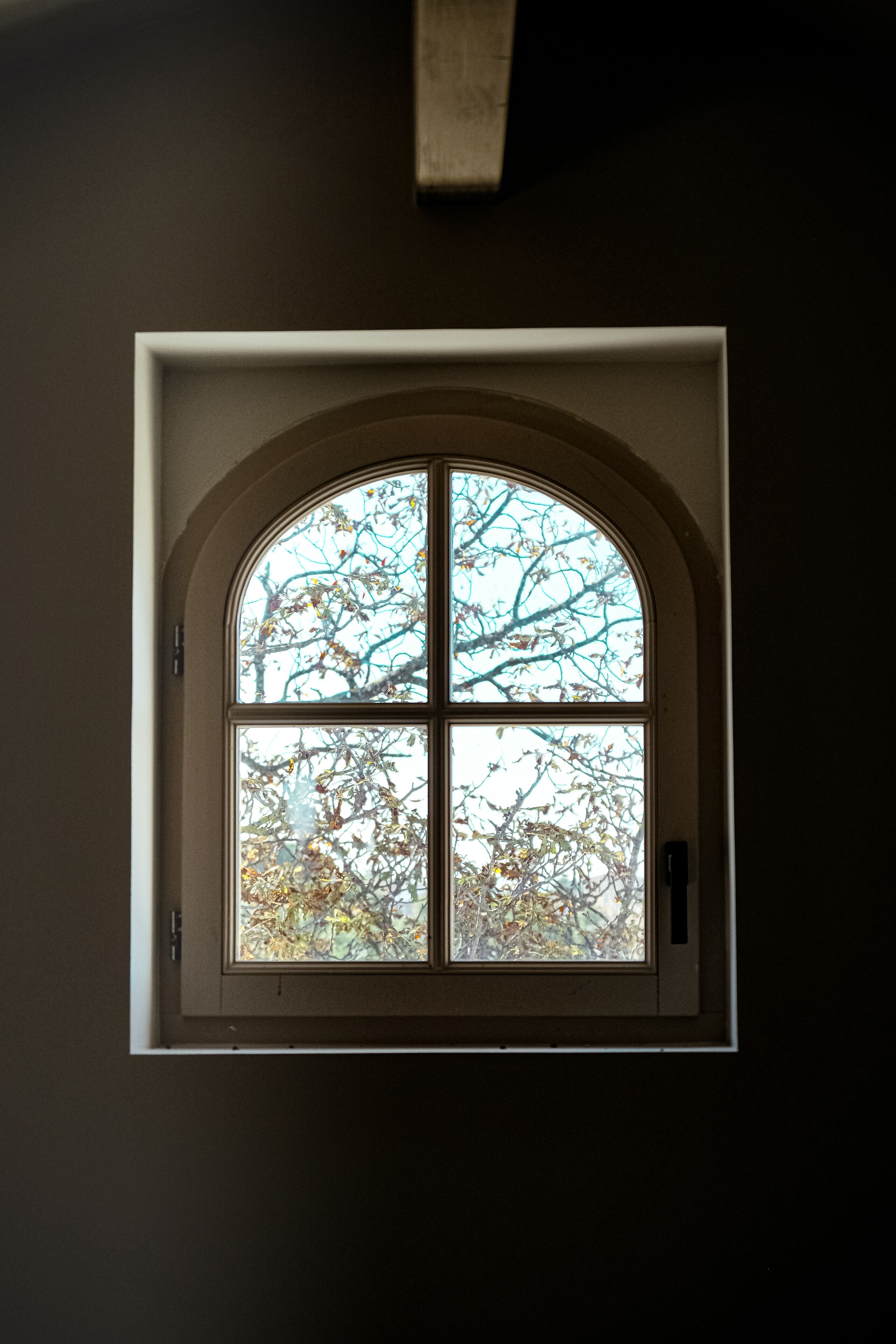 Une fenêtre à sommet en arc et au cadre blanc, donnant sur un arbre aux feuilles d’automne.