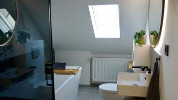 Eco-friendly toiletries, hair dryer, towels, toilet paper