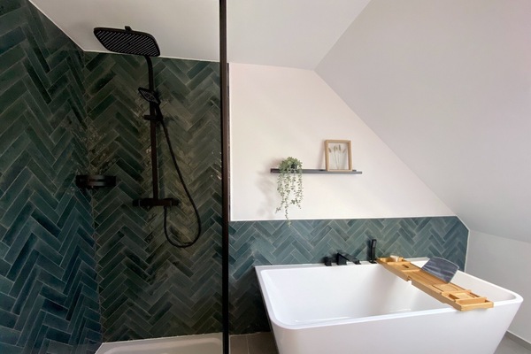 Eco-friendly toiletries, hair dryer, towels, toilet paper