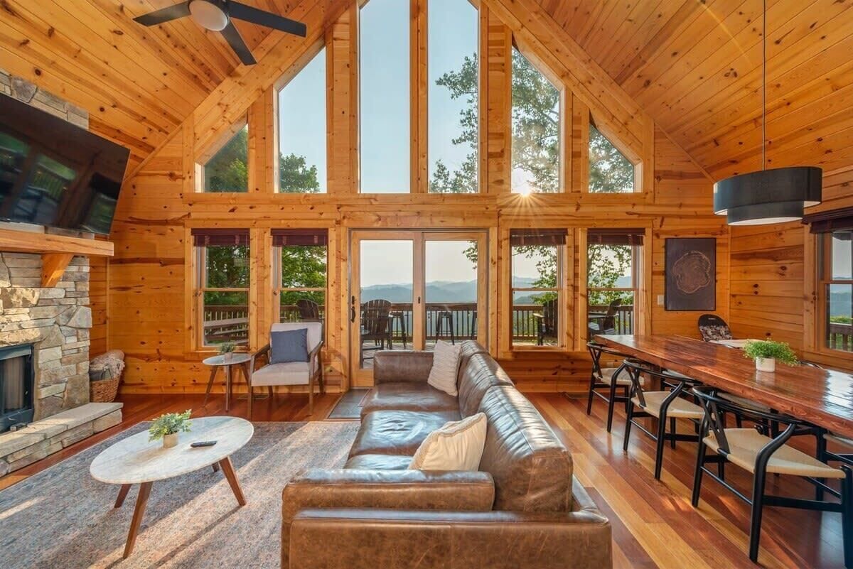 TV, fireplace, video games, books