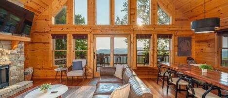 TV, fireplace, video games, books