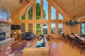 TV, fireplace, video games, books