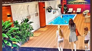 Un espace piscine offrant une vue sur la ville la nuit, agrémenté de plantes d’intérieur et de chaises longues.