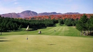 A golf course with a flagstick, trees, and distant mountains. - Most Equipped! - Condo le mieux équipé - Orford QC (Orford)