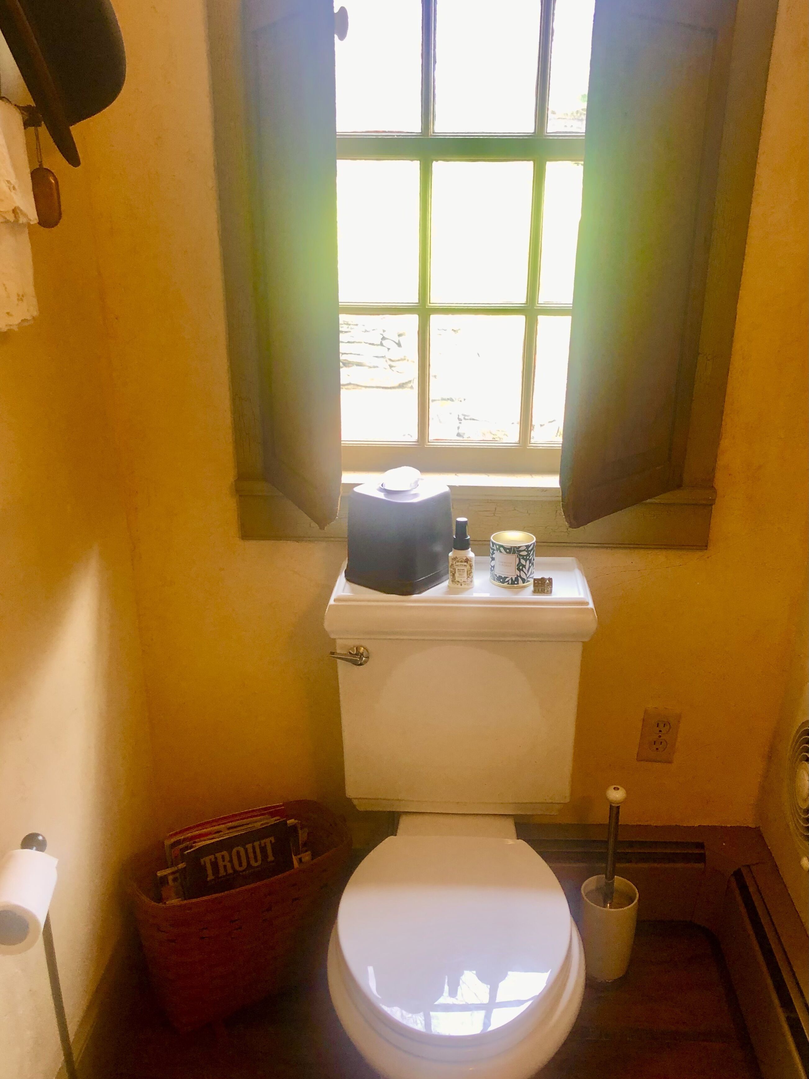 Fontinalis- Historic stone farm house (ca. 1700’s) on famous trout stream. 