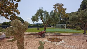 Un giardino di cactus con una carriola rossa e un pallone da calcio sullo sfondo.