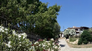 A paved pathway lined with flowering shrubs and a fence. - Villa Runcina with sea view, Wi-Fi and private pool (San Teodoro)