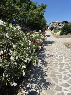 Property grounds - Apartment Runcina 1 with Sea View, Wi-Fi and Shared Pool (San Teodoro)