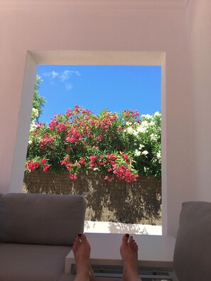 Terrein van de accommodatie