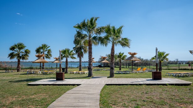 Un sentier en bois qui mène aux parasols de plage et aux palmiers.