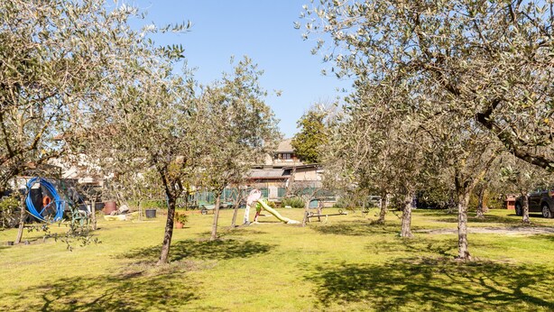 Un parc avec des arbres, une aire de jeux et un b âtiment en arrière-plan.