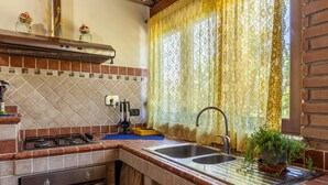 Une cuisine équipée d’une cuisinière à gaz, d’un évier à deux bacs et d’une fenêtre agrémentée de rideaux à motifs.