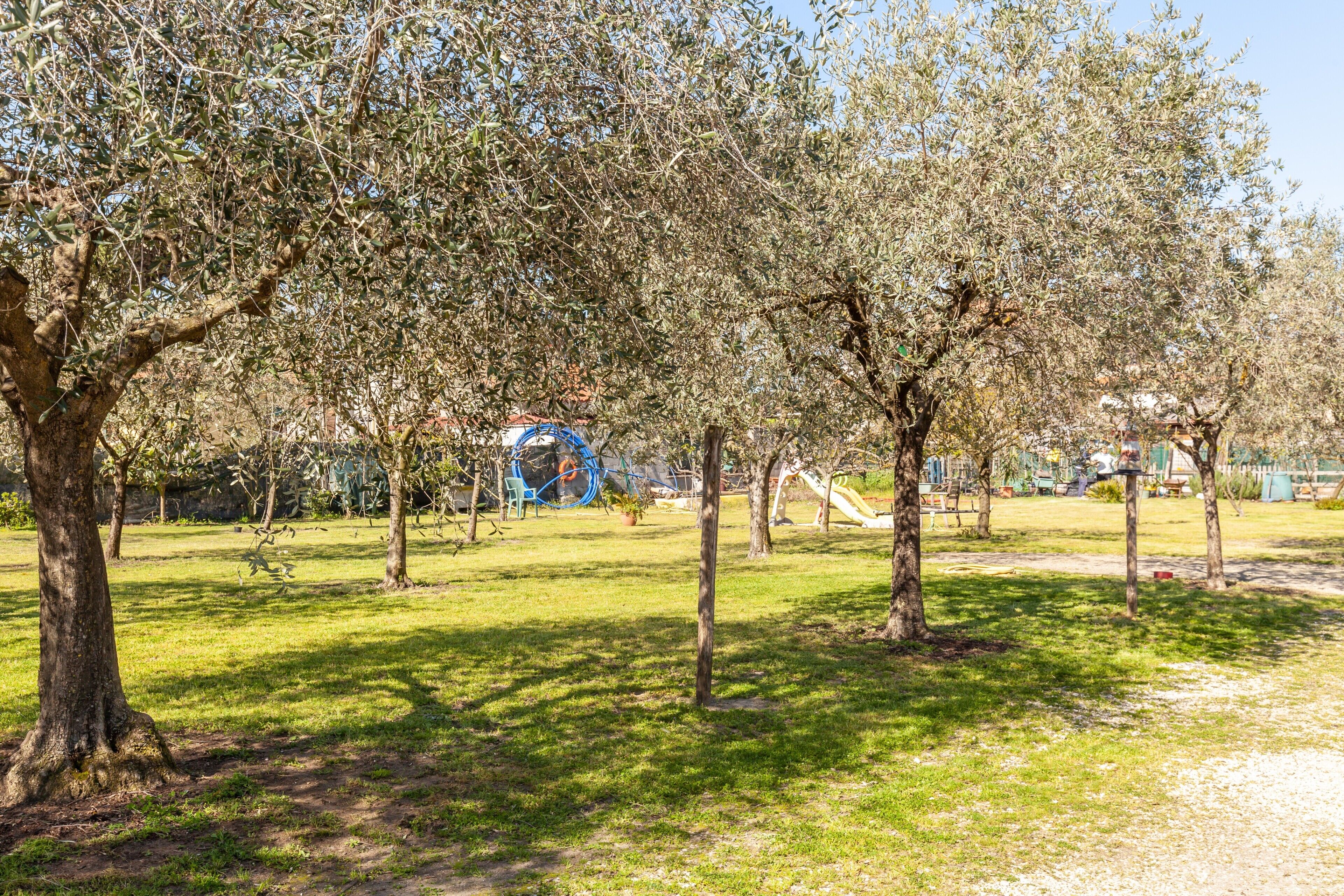 Parco della struttura