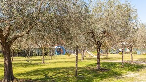 Un parc avec des oliviers, une aire de jeux et un ciel dégagé.
