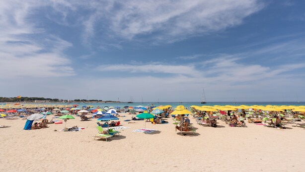 A beach with numerous umbrellas and sun loungers.
