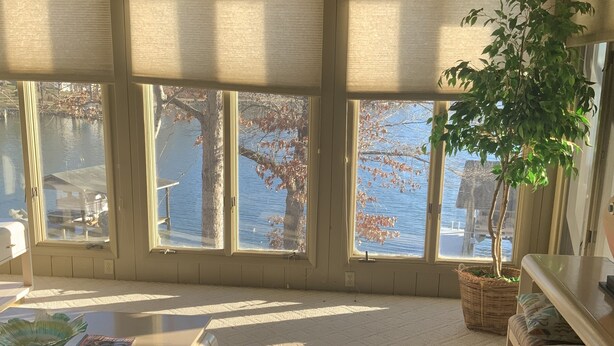 A cozy room with large windows, a comfortable sofa, a coffee table, and a potted plant. - Lakefront,  Great, wide-water views. Near bridge
 (Moneta)