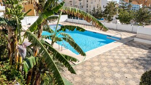 Ein Swimmingpool, umgeben von Palmen, mit einem weißen Gebäude im Hintergrund.