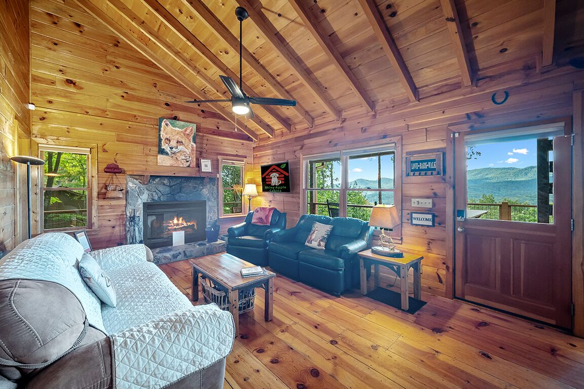 Smart TV, fireplace, table football, books