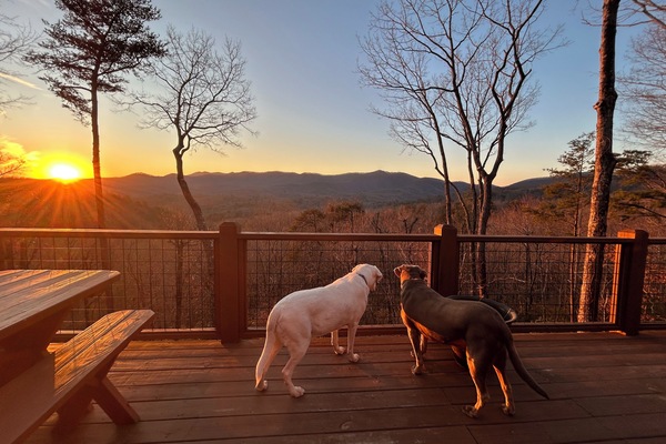 Opções para refeição ao ar livre