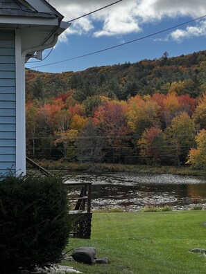 Property grounds - Tannersville Lake House (Tannersville)