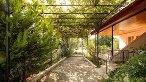 Un sendero cubierto con vegetación a ambos lados, que conduce a un edificio con fachada de madera y barandilla de metal.