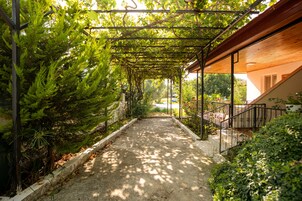 Vista desde la habitación