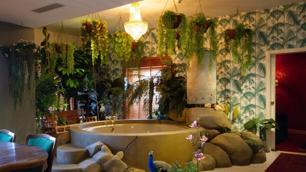 Una habitación con una fuente circular, asientos y plantas colgantes.