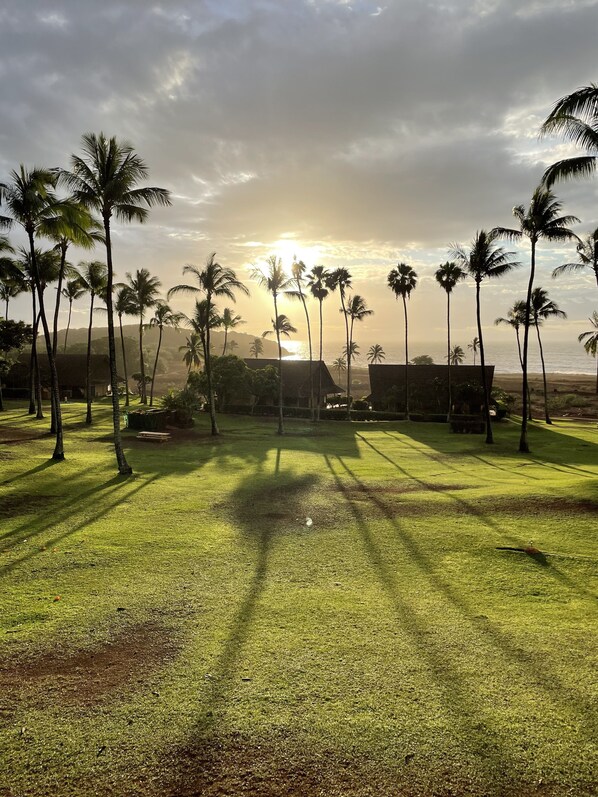 Property grounds - Oceanfront Condo - NEWLY Remodeled furnishings- BEAUTIFUL sunsets every night! (Maunaloa)