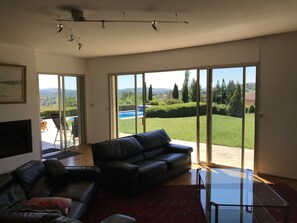 Televisión, chimenea y libros 
