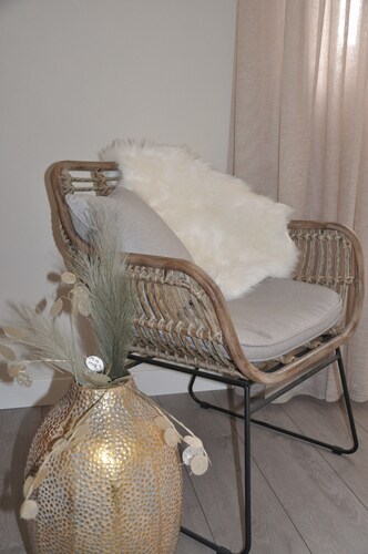 Spacious apartment with luxurious furnishings!