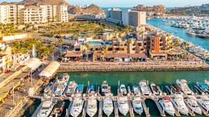 A marina with numerous boats docked, a rocky breakwater, and buildings in the background.