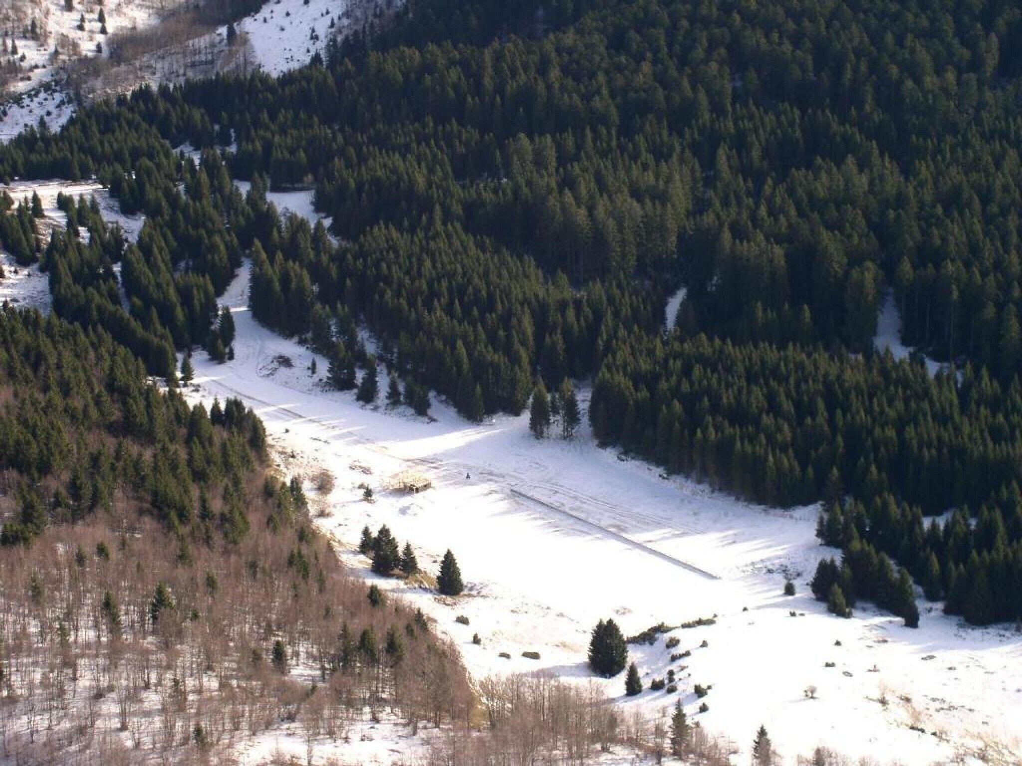 A snow-covered landscape with dense forest areas and open fields.