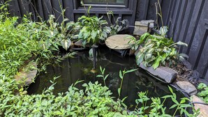 Un jardín con un estanque, rodeado de plantas y rocas.