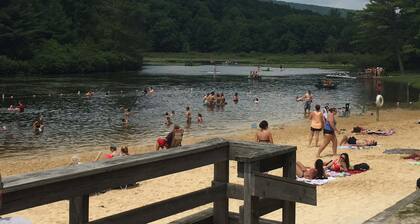 Close to Penn State & Whipple's Dam - Pet Friendly!