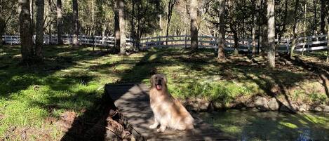 Enceinte de l’hébergement