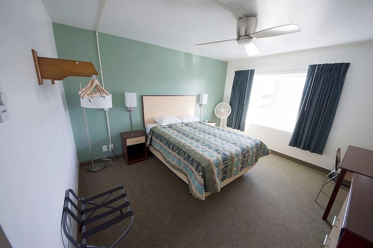 Studio | Een kluis op de kamer, een bureau, een laptopwerkplek, gratis wifi