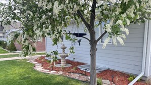 Un jardín residencial con un árbol, una fuente para pájaros y un sendero de piedra.