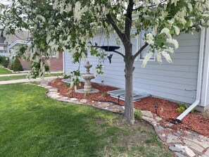 Terrein van de accommodatie