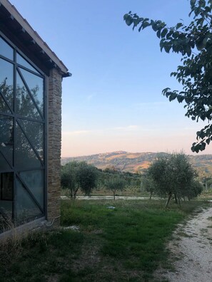 Overnattingsstedets uteområder