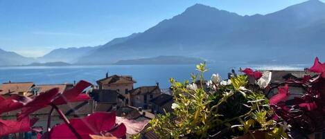 Uitzicht vanuit accommodatie