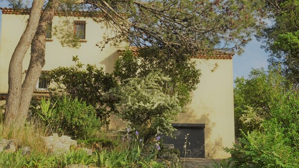 A building with a stone wall, a tree, and various plants. - Bas de villa near Calanques de Cassis in quiet subdivision (Carnoux-en-Provence)