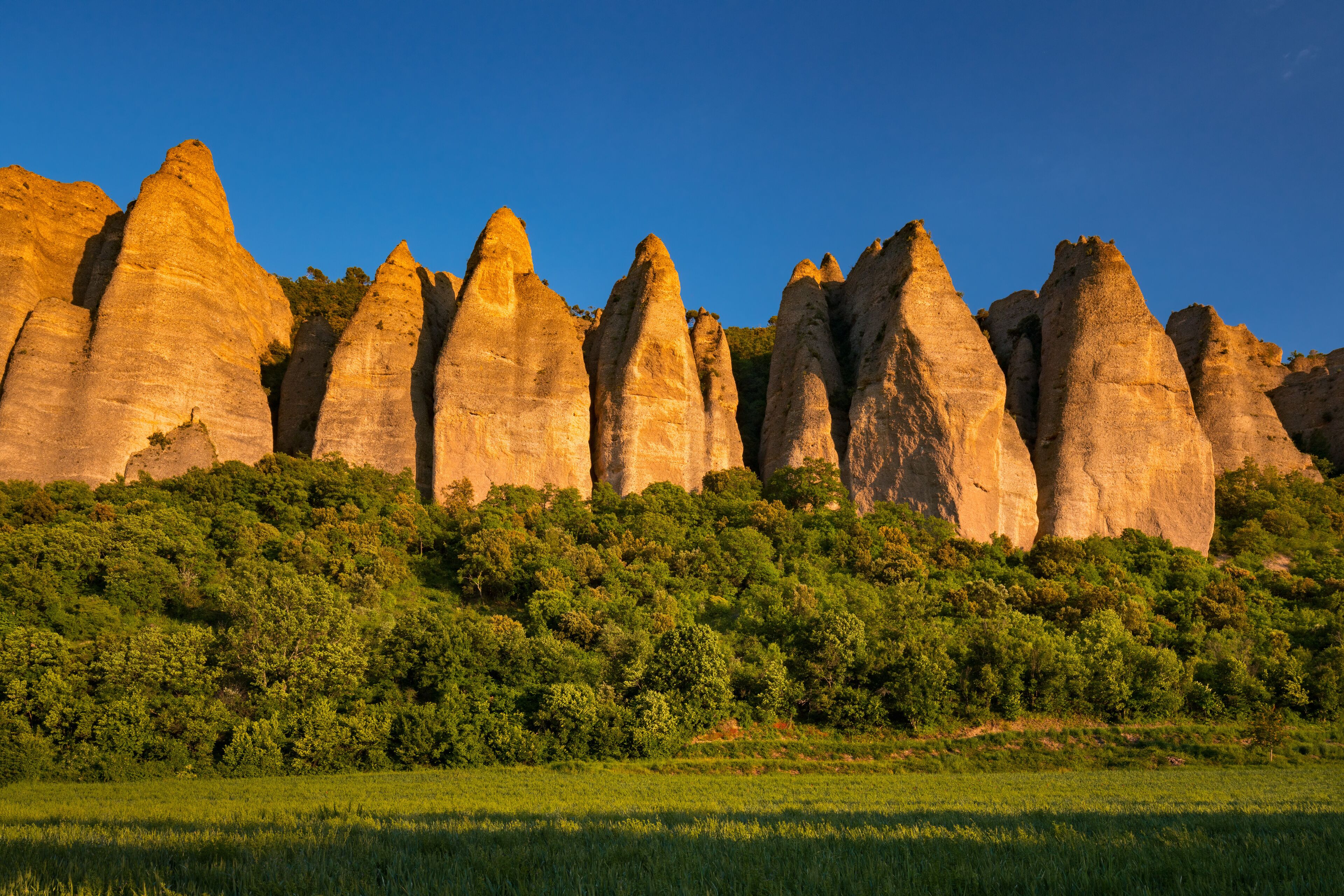 Een landschap met hoge, puntige rotsformaties en een dichtgroene bosrand op de voorgrond.