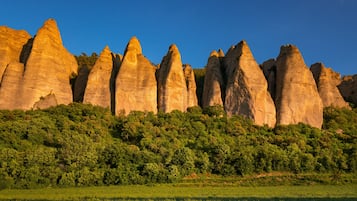 Een landschap met hoge, puntige rotsformaties en een dichtgroene bosrand op de voorgrond.