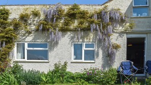 Une maison avec deux fenêtres, une porte et un jardin où poussent des plantes et des fleurs.