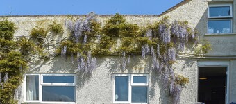 3 bedroom accommodation in West Quantoxhead