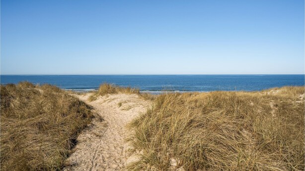 Ein sandiger Pfad führt zum Strand, umgeben von trockenem Gras.