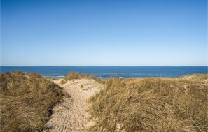 Walk along the beach's tranquil pathway, surrounded by natural dunes and sparse vegetation.